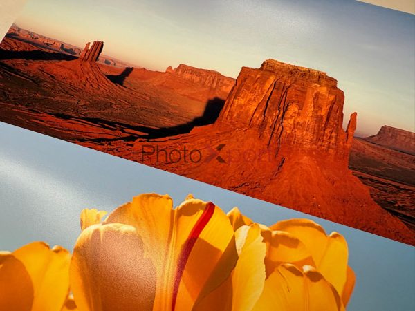 Pre-owned Fuji Frontier DL650 - New Stock - Image 8