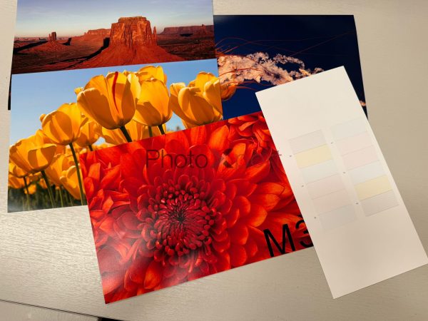 Pre-owned Fuji Frontier DL650 - New Stock - Image 9